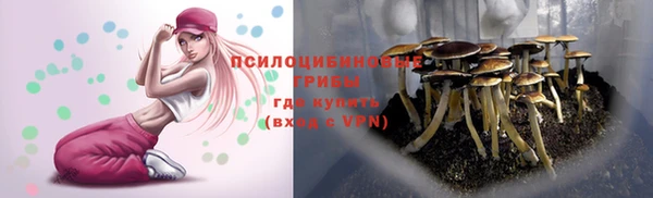 прущий лед Бронницы