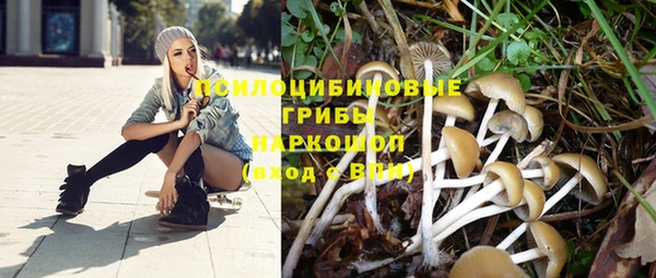 прущий лед Бронницы