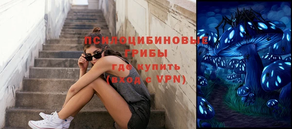 прущий лед Бронницы