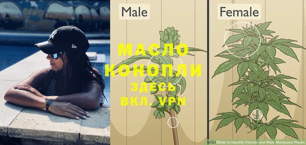 скорость Бородино