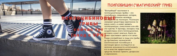 скорость Бородино