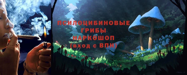 прущий лед Богородицк