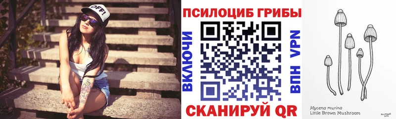 Галлюциногенные грибы прущие грибы  Вяземский 